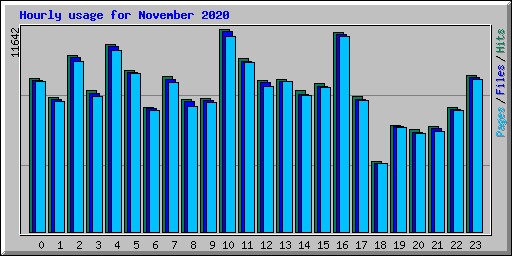 Hourly usage for November 2020