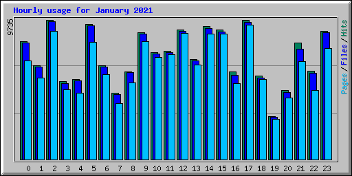 Hourly usage for January 2021