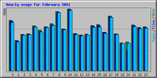 Hourly usage for February 2021